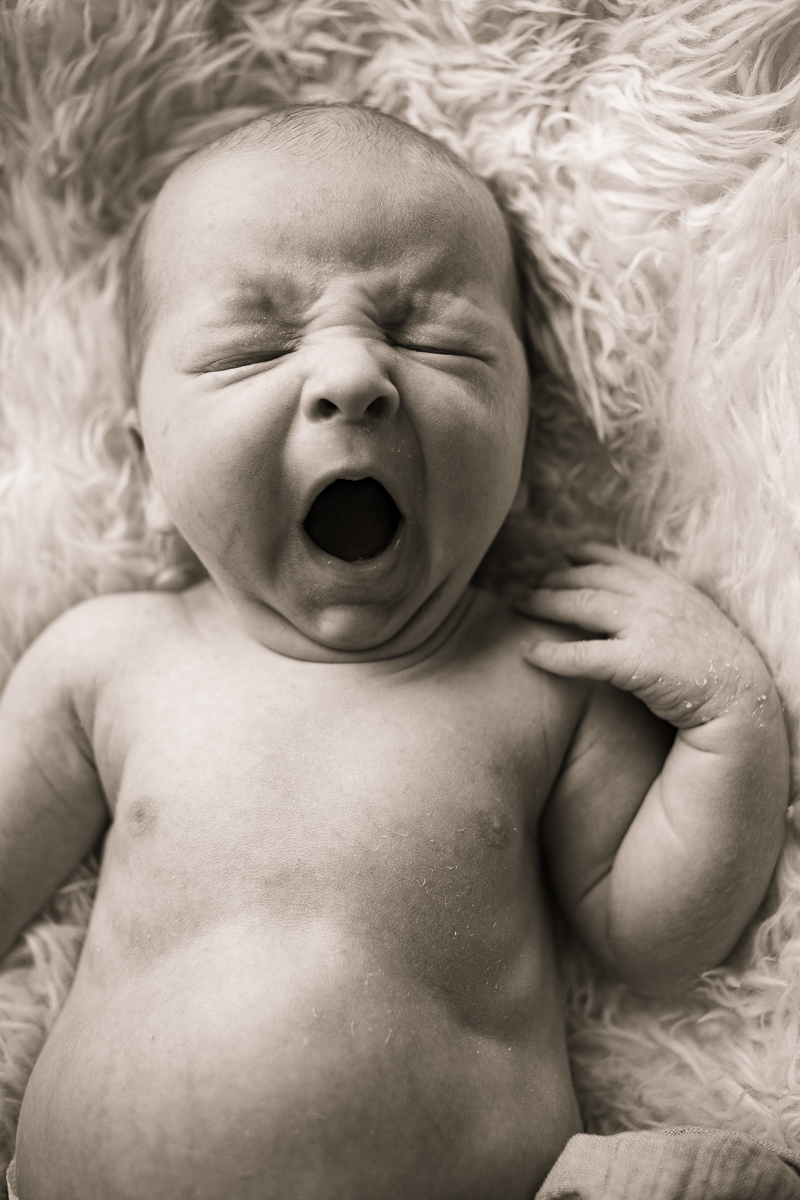 newborn-kuvaus joensuu